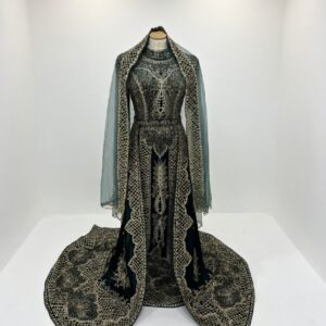 Takchita Velours Émeraude Brodé Or – Robe Marocaine Luxe | SLN Dress